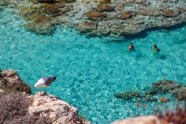 LampedusaInn - La tua vacanza a Lampedusa