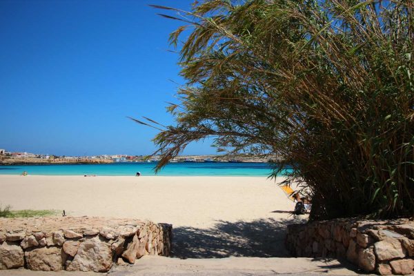 LampedusaInn - La tua vacanza a Lampedusa